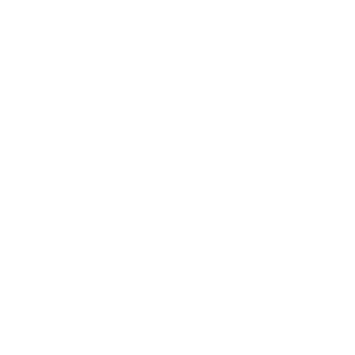 Icon 5