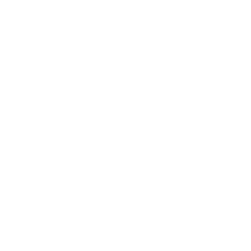 Icon 8